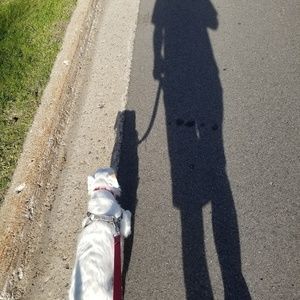 Meet your Posher, Josh